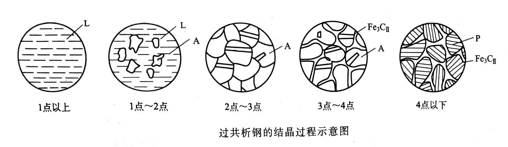 二次渗碳体沿着奥氏体晶界而呈网状分布,如图(t12过共析钢的显微组织)